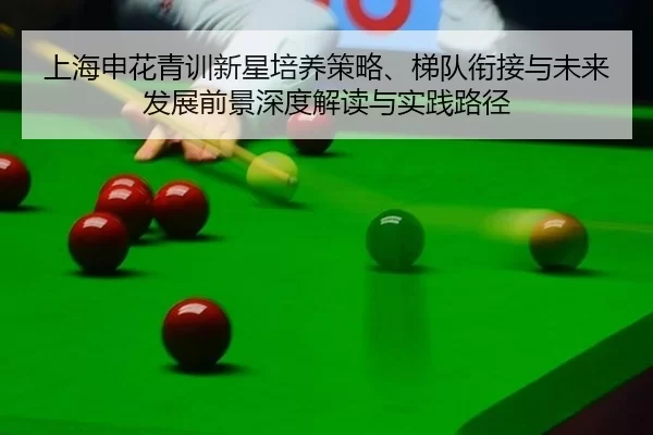 上海申花青训新星培养策略、梯队衔接与未来发展前景深度解读与实践路径