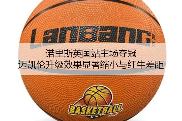 nuo-li-si-ying-guo-zhan-zhu-chang-duo-guan-mai-kai-lun-sheng-ji-xiao-guo-xian-zhu-suo-xiao-yu-hong-niu-cha-ju-2-350.jpg