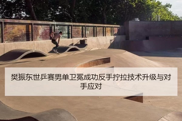 樊振东世乒赛男单卫冕成功反手拧拉技术升级与对手应对
